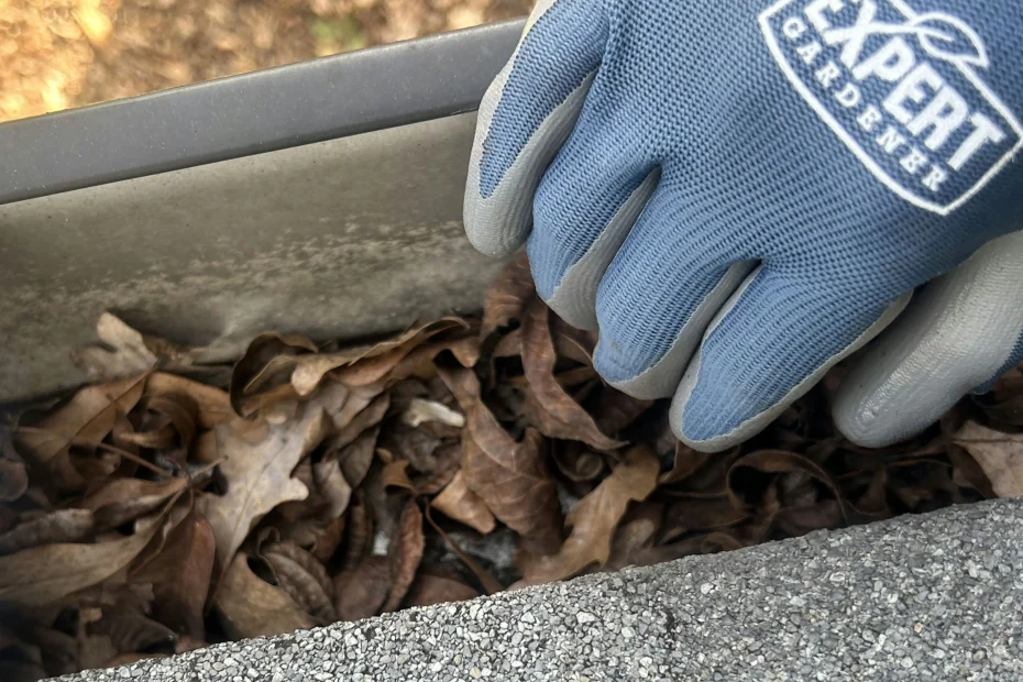 Gutter Cleaning Ocean Ridge FL