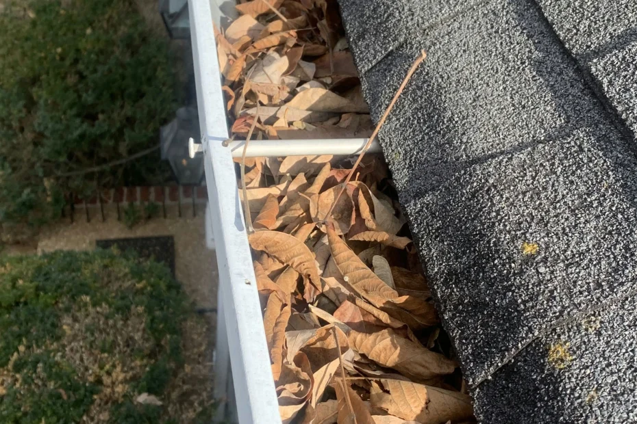 Gutter Cleaning Ocean Ridge FL