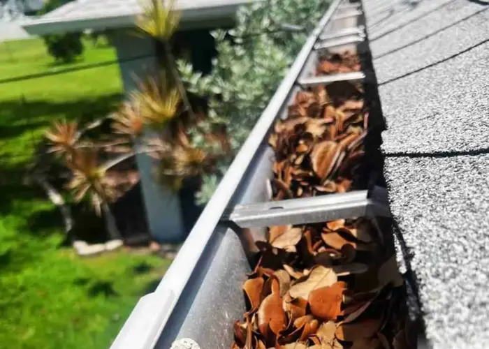 Gutter Cleaning Ocean Ridge FL home page